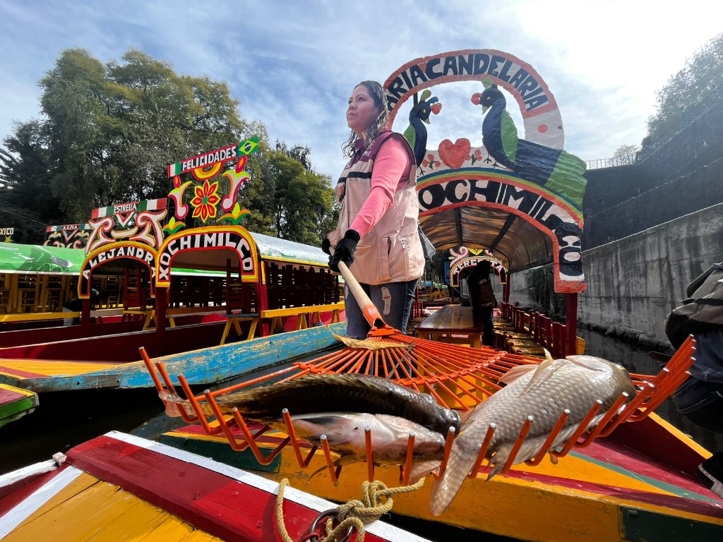 De acuerdo con los prestadores de servicios, el embarcadero de Zacapa, uno de los más antiguos de Xochimilco, hay por lo menos 50 remeros que han visto disminuidos sus ingresos, al igual que en el resto de los distintos puntos de donde salen las trajineras. Foto Luis Castillo
