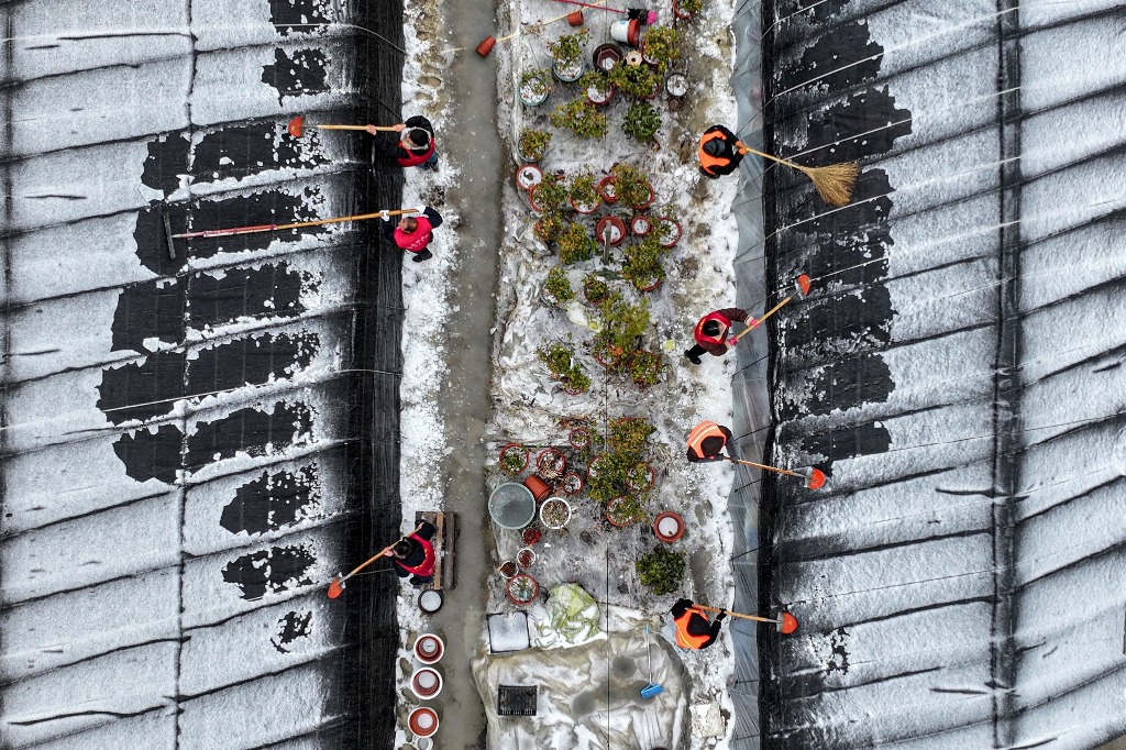 Huai'an. Trabajadores quitan la nieve de los invernaderos en esta ciudad china. Foto Afp