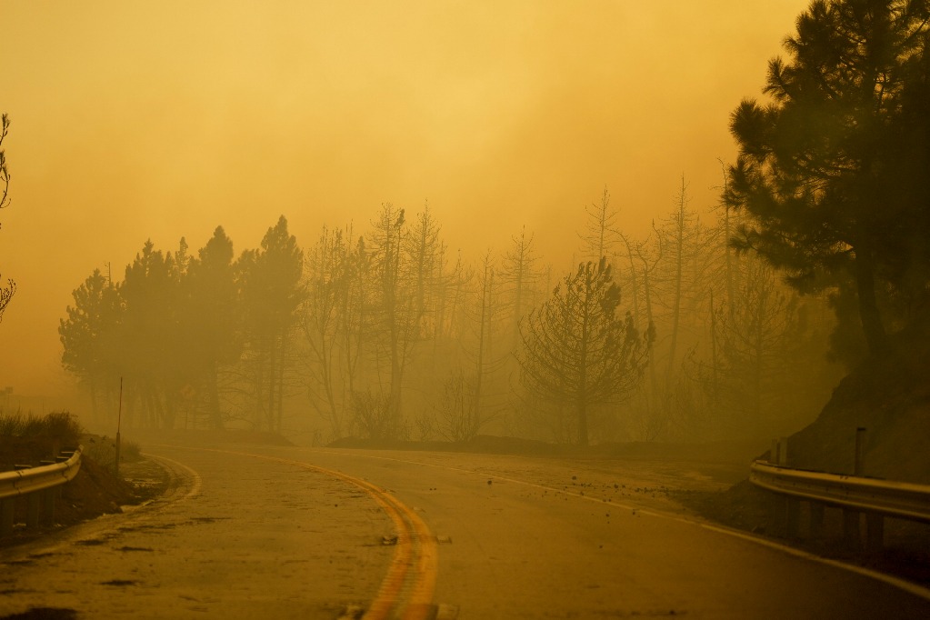 Running Springs. ‘Line Fire’ deja un paisaje quemado en esta región de California, Estados Unidos. Foto Ap / Erix Thayer