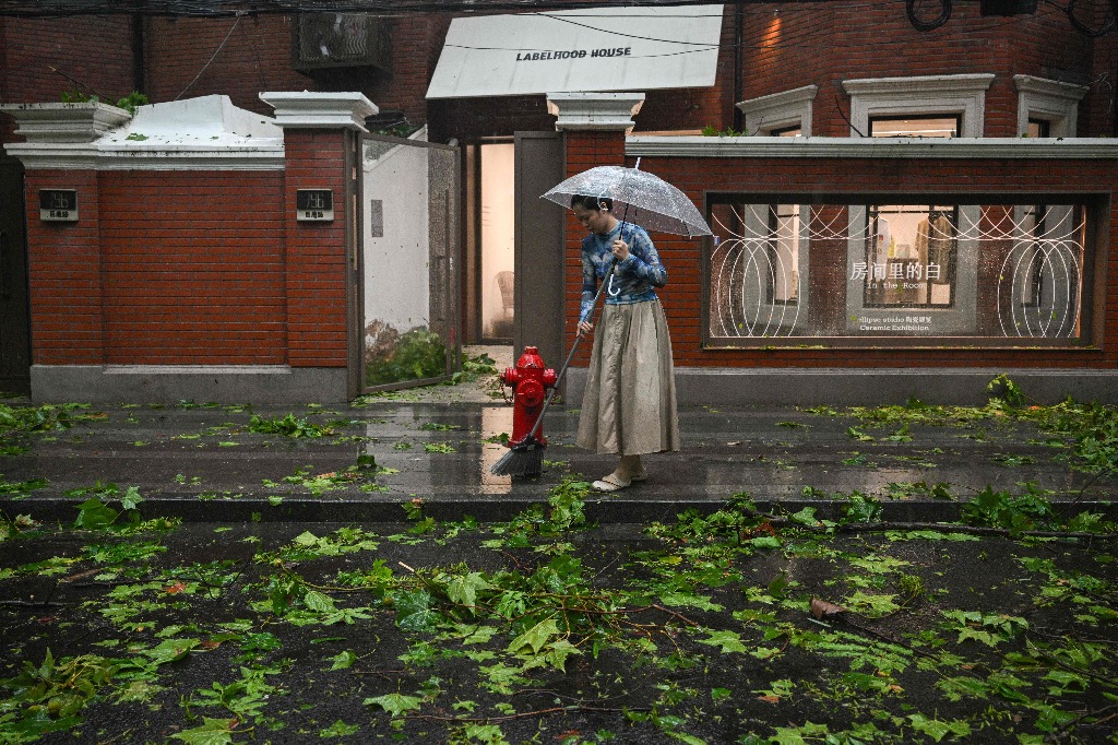 Shanghai. Una mujer barre ramas y hojas de árboles fuera de una tienda derribada durante el paso del tifón 'Bebinca', en esta ciudad china. La tormenta más fuerte que ha golpeado a la ciudad en más de 70 años tocó tierra, por lo que se cancelaron vuelos y se cerraron carreteras. Foto Afp / Héctor Retamal