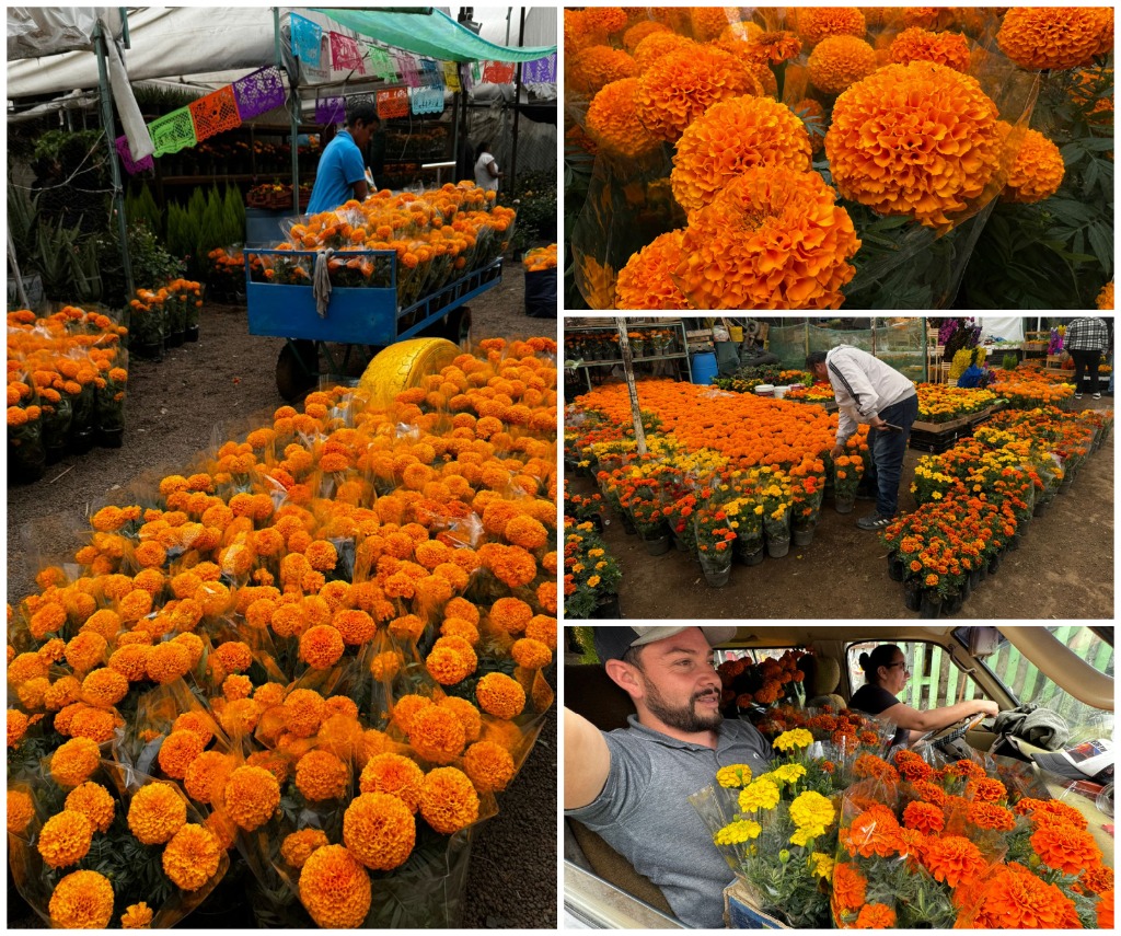 Ciudad de México. Vendedores de flor de cempasúchil en el Palacio de la Flor, ubicado en el deportivo de Xochimilco. Foto Luis Castillo