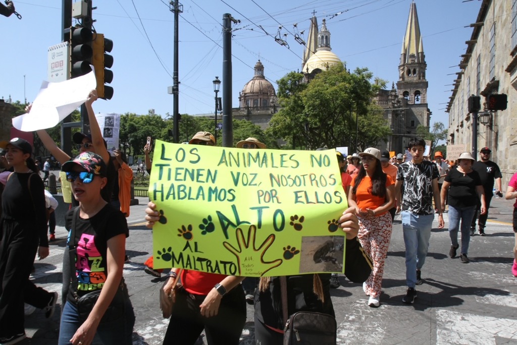 Guadalajara. Un grupo de ciudadanos y una organización en defensa de los animales se manifestaron en el centro de esta ciudad para exigir al gobierno una legislación para evitar el maltrato animal. Foto Arturo Campos Cedillo
